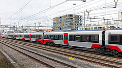 190120 Thun Stadler essai 7