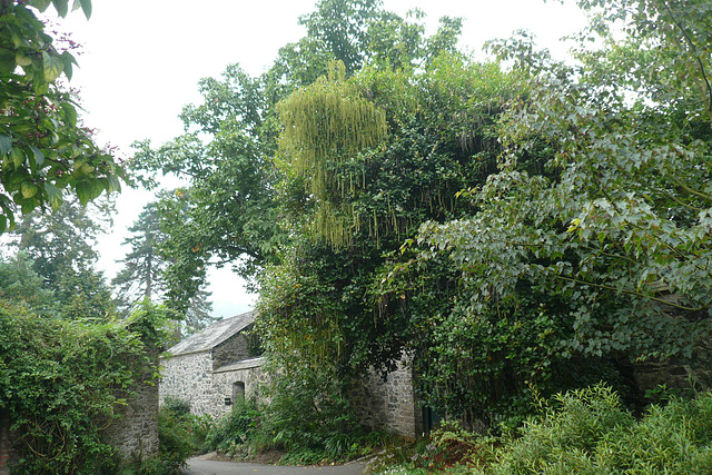 Greenway Gardens