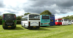 Stonham Barns 'The Big Bus Show' - 13 Aug 2023 (P1150999)