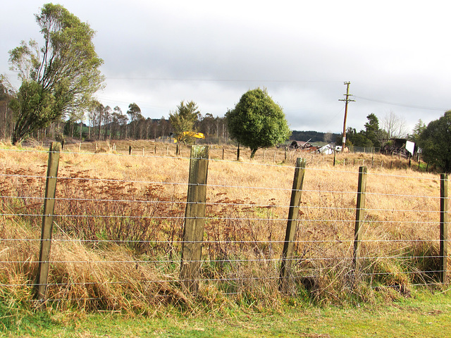 Fields And Fences.