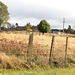 Fields And Fences.