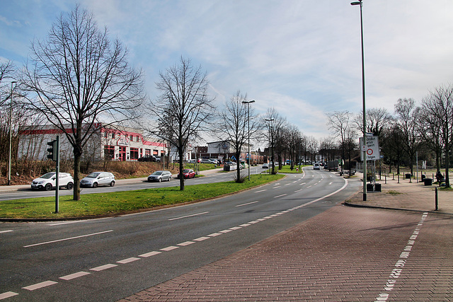 Wilhelm-Nieswandt-Allee (Essen-Altenessen) / 2.03.2024