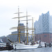 Gorch Fock....