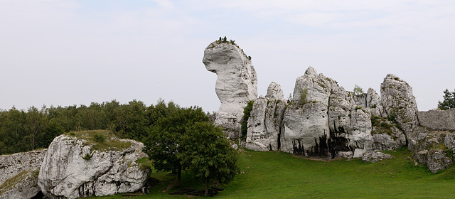 Ogrodzieniec Castle