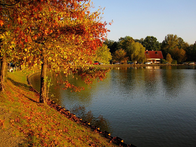 Couleurs d'automne