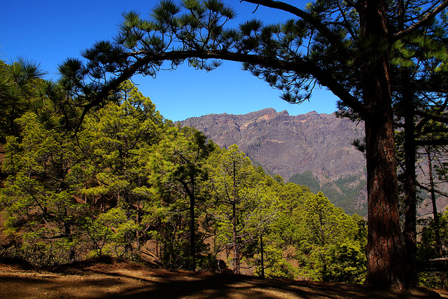 Caldera de Taburiente