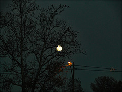 un soir d'hiver, pleine lune entre Toulouse et Montauban