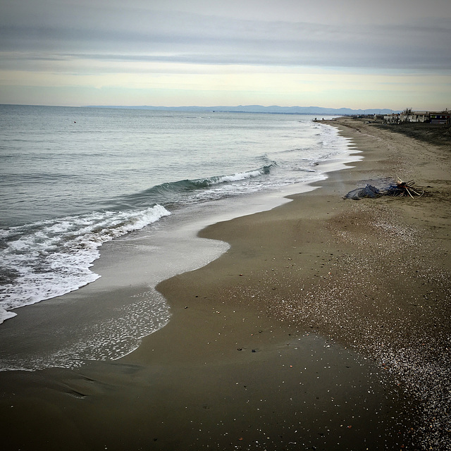 Winter promenade.