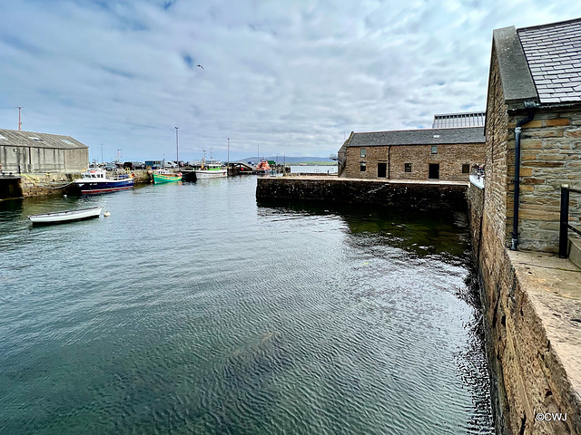 Stromness Harbour