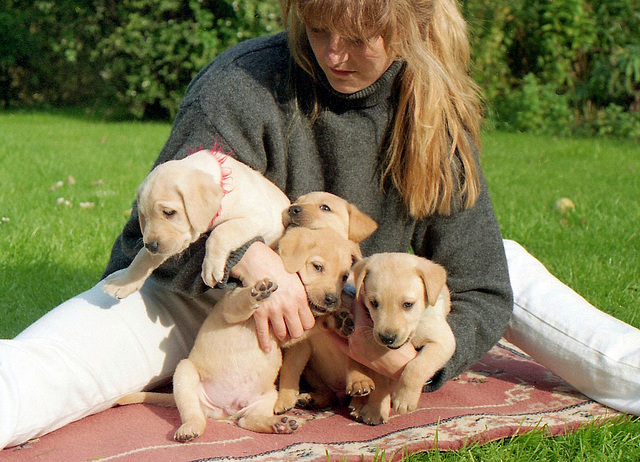 Dès sa naissance le chien n'a qu'un but dans la vie; ouvrir son coeur !