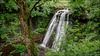 Aysgill Force