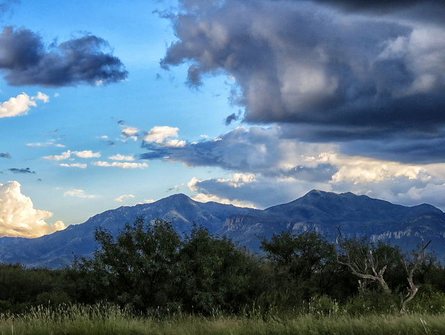 The Huachuca Mountains