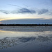 Blaue Stunde am Federsee