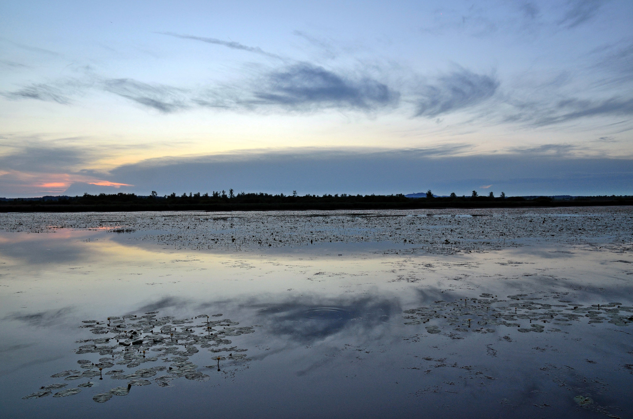 Blaue Stunde am Federsee