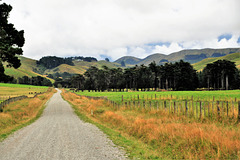 New Zealand