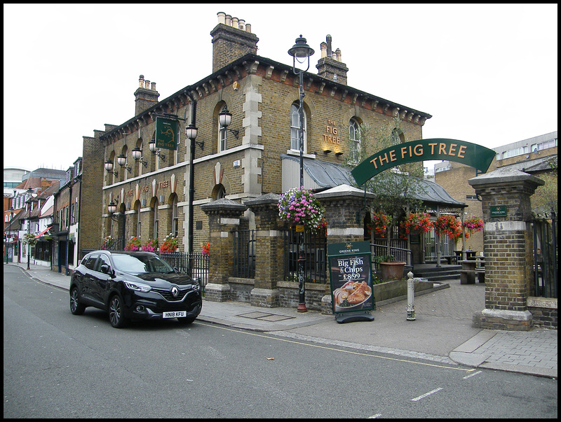 The Fig Tree pub