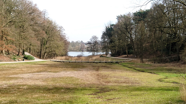 Feuchtbiotop im Harburger Stadtpark