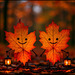 Laterne, Laterne ¸¸.•*¨*•♫♪