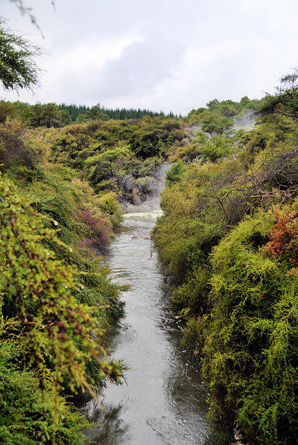 New Zealand