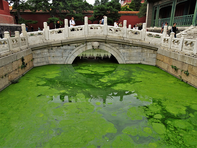 Forbidden City, outside Hall of Literary Brilliance_1