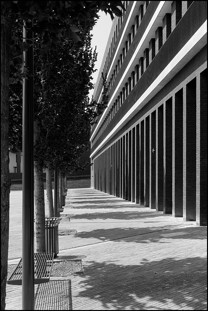 Parallèles verticales accompagnées de quelques ombres horizontales