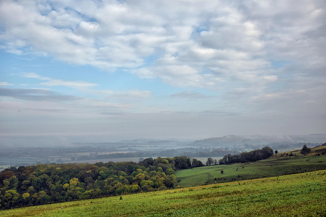 Misty Morning