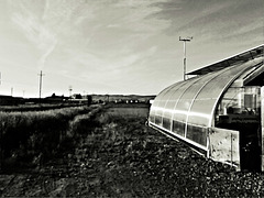 Dreaming of a greenhouse