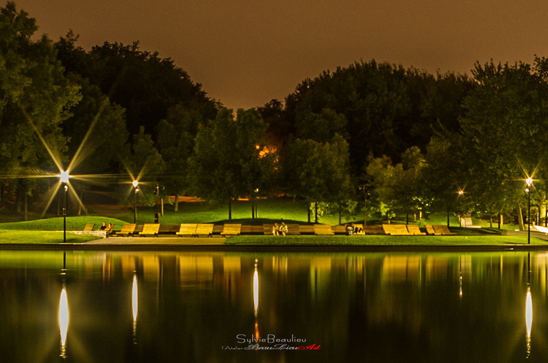 Reflets noctures IMGP9656