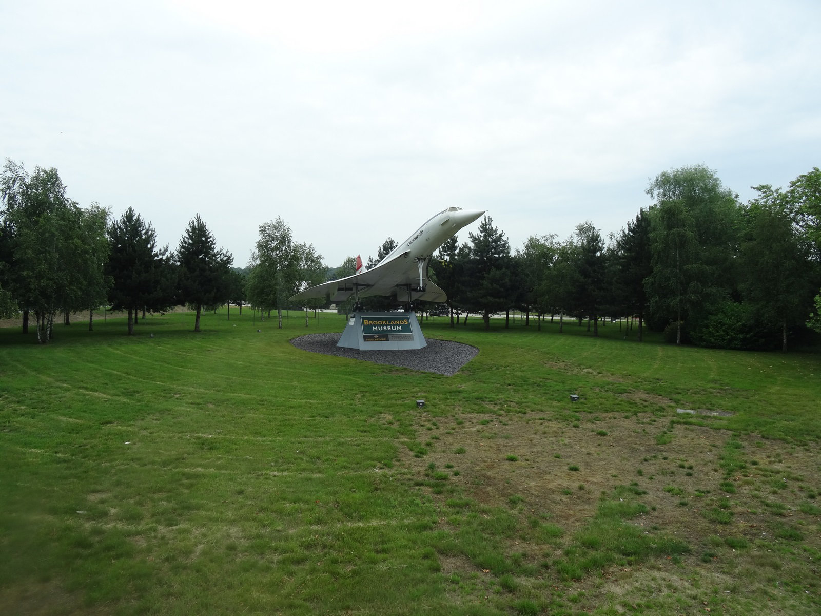 otbbjun232019 (1117)