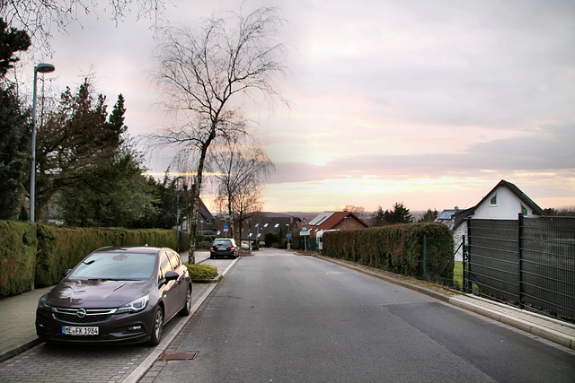 Wimmersberger Straße (Velbert-Tönisheide) / 5.02.2022