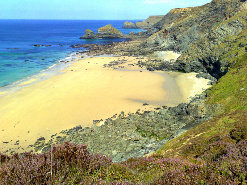 Greenbank Cove, Cornwall - low tide.