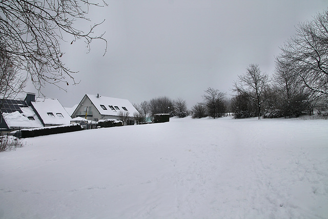 Schneebedeckte Wiese an der Frankfurter Straße (Breckerfeld) / 8.03.2023