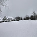 Schneebedeckte Wiese an der Frankfurter Straße (Breckerfeld) / 8.03.2023