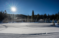 Winter cross-country ski trail