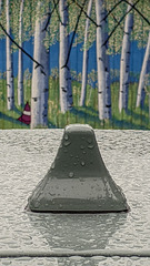 Antenna in the Woods Antenna in the Woods