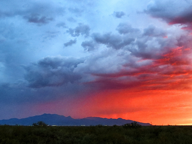 Huachuca Mountains