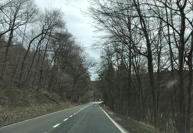 driving into the Ardennes