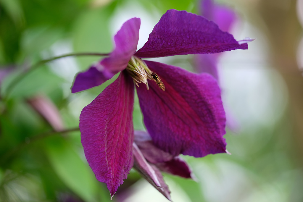 DSCF6197
