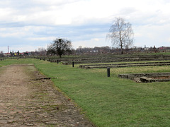 Birkenau, le Kanada.