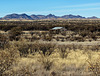 East Of The Santa Rita Mountains