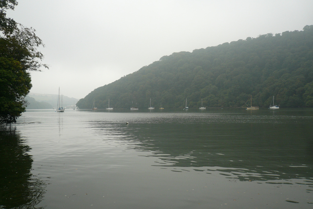 Mist On The Dart