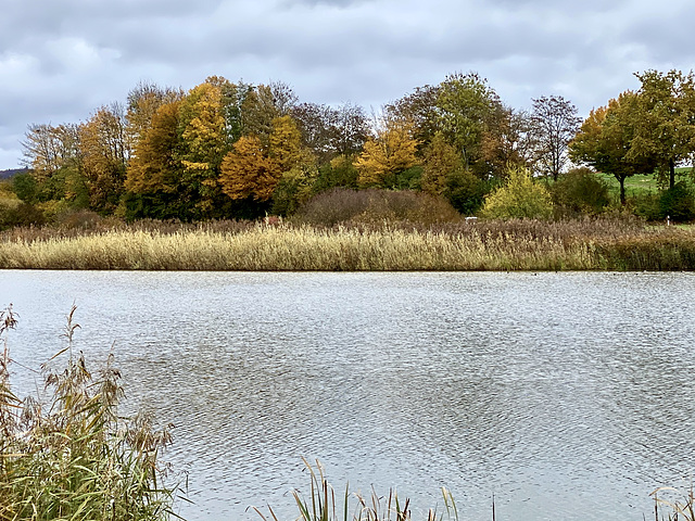 Am Bifangweiher