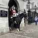 Horse guards parade London