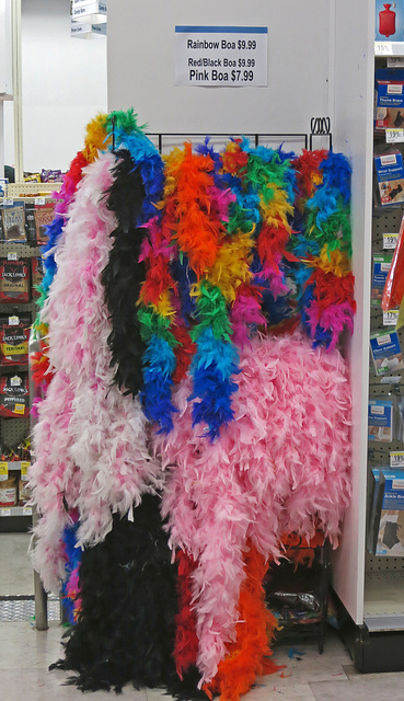 Boas at the Castro Walgreen - Pride Weekend (1315)