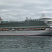 MV VENTURA, der Reederei P&O CRUISES