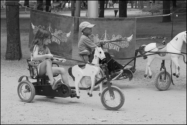 La course (2) - Le 3 passe à toute allure !