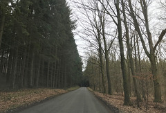 driving into the Ardennes