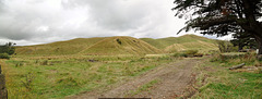 New Zealand