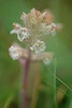 DSCF7862