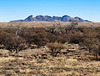 The Mustang Mountains